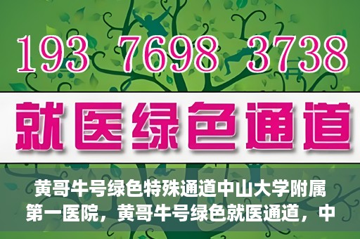黄哥牛号绿色特殊通道中山大学附属第一医院，黄哥牛号绿色就医通道，中山大学附属第一医院的实践探索