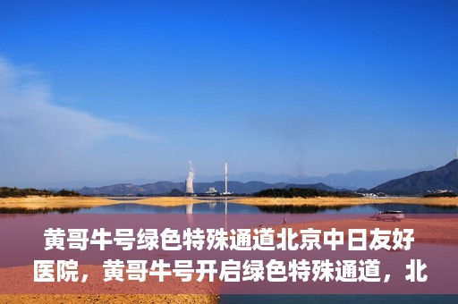 黄哥牛号绿色特殊通道北京中日友好医院，黄哥牛号开启绿色特殊通道，北京中日友好医院助力健康之路