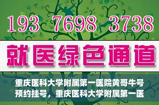 重庆医科大学附属第一医院黄哥牛号预约挂号，重庆医科大学附属第一医院黄哥牛号预约挂号攻略