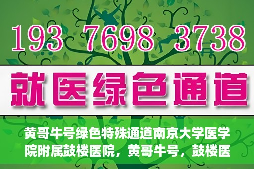 黄哥牛号绿色特殊通道南京大学医学院附属鼓楼医院，黄哥牛号，鼓楼医院开启绿色特殊通道助力健康之路