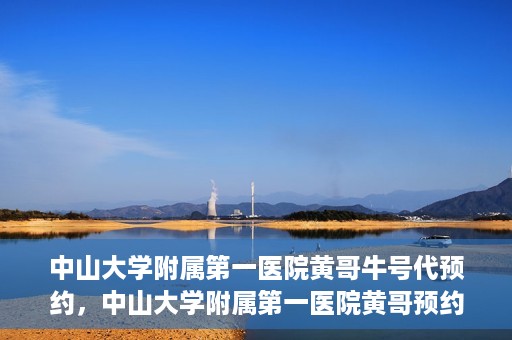 中山大学附属第一医院黄哥牛号代预约，中山大学附属第一医院黄哥预约挂号攻略，轻松预约牛号代预约服务