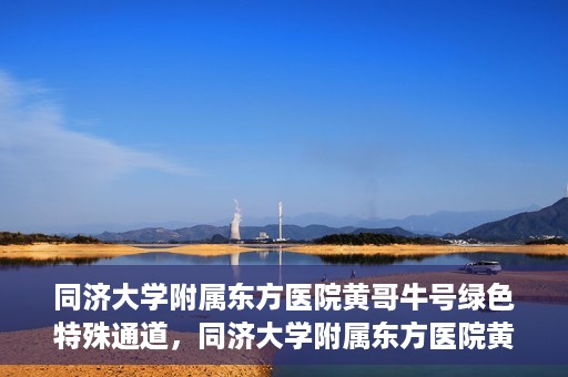 同济大学附属东方医院黄哥牛号绿色特殊通道，同济大学附属东方医院黄哥牛号，绿色特殊通道开启健康之门