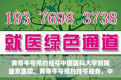 黄哥牛号预约挂号中国医科大学附属盛京医院，黄哥牛号预约挂号服务，中国医科大学附属盛京医院便捷就医新体验