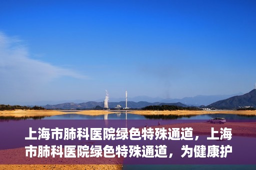 上海市肺科医院绿色特殊通道，上海市肺科医院绿色特殊通道，为健康护航的紧急通道