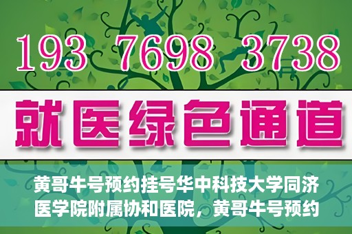 黄哥牛号预约挂号华中科技大学同济医学院附属协和医院，黄哥牛号预约挂号，华中科技大学同济医学院附属协和医院就医新体验