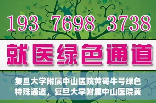 复旦大学附属中山医院黄哥牛号绿色特殊通道，复旦大学附属中山医院黄哥牛号，绿色特殊通道开启健康之门