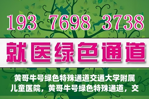 黄哥牛号绿色特殊通道交通大学附属儿童医院，黄哥牛号绿色特殊通道，交通大学附属儿童医院的探索与实践