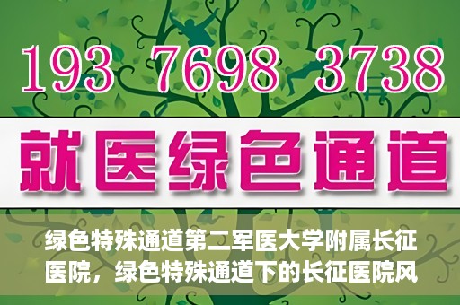 绿色特殊通道第二军医大学附属长征医院，绿色特殊通道下的长征医院风采——第二军医大学附属长征医院探索与实践