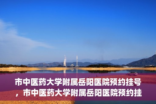 市中医药大学附属岳阳医院预约挂号，市中医药大学附属岳阳医院预约挂号攻略，便捷就医从这里开始