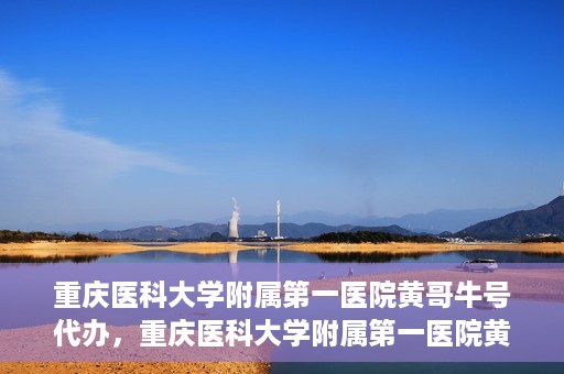 重庆医科大学附属第一医院黄哥牛号代办，重庆医科大学附属第一医院黄哥牛号代办服务详解
