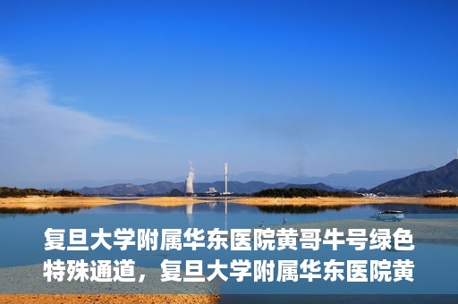 复旦大学附属华东医院黄哥牛号绿色特殊通道，复旦大学附属华东医院黄哥牛号，绿色特殊通道开启健康之门