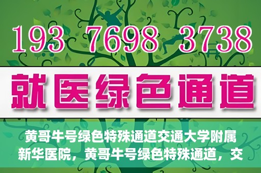 黄哥牛号绿色特殊通道交通大学附属新华医院，黄哥牛号绿色特殊通道，交通大学附属新华医院的探索与实践