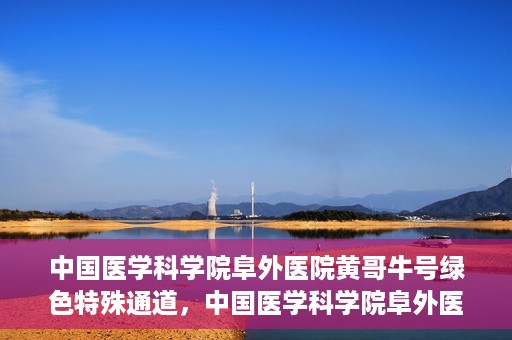 中国医学科学院阜外医院黄哥牛号绿色特殊通道，中国医学科学院阜外医院黄哥牛号，绿色特殊通道的医学力量探索