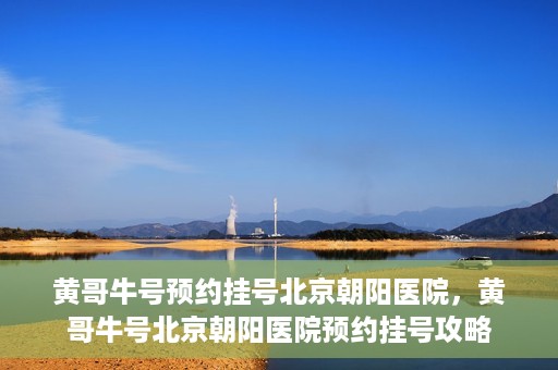 黄哥牛号预约挂号北京朝阳医院，黄哥牛号北京朝阳医院预约挂号攻略