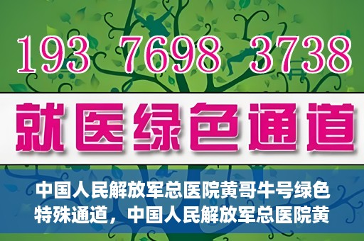 中国人民解放军总医院黄哥牛号绿色特殊通道，中国人民解放军总医院黄哥牛号，绿色特殊通道开启健康之门