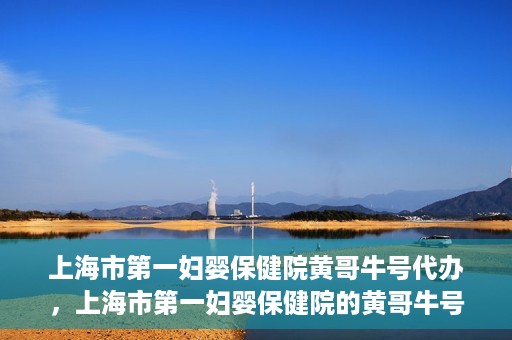 上海市第一妇婴保健院黄哥牛号代办，上海市第一妇婴保健院的黄哥牛号代办服务解析