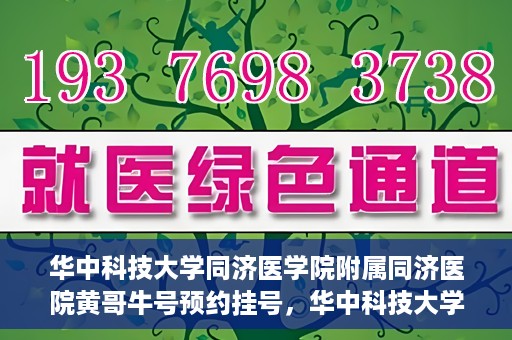 华中科技大学同济医学院附属同济医院黄哥牛号预约挂号，华中科技大学同济医院黄哥牛号预约挂号攻略