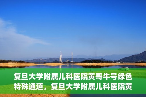 复旦大学附属儿科医院黄哥牛号绿色特殊通道，复旦大学附属儿科医院黄哥牛号，绿色特殊通道的温暖守护