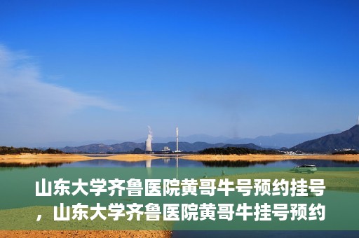 山东大学齐鲁医院黄哥牛号预约挂号，山东大学齐鲁医院黄哥牛挂号预约攻略