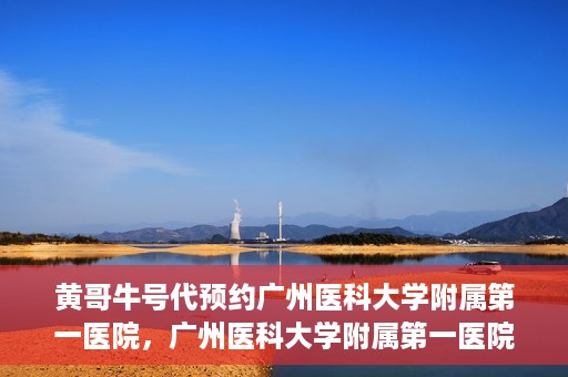 黄哥牛号代预约广州医科大学附属第一医院，广州医科大学附属第一医院黄哥牛号预约启动
