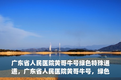 广东省人民医院黄哥牛号绿色特殊通道，广东省人民医院黄哥牛号，绿色特殊通道开启健康之门