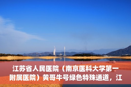 江苏省人民医院（南京医科大学第一附属医院）黄哥牛号绿色特殊通道，江苏省人民医院绿色特殊通道，黄哥牛号的医疗速度与温情服务