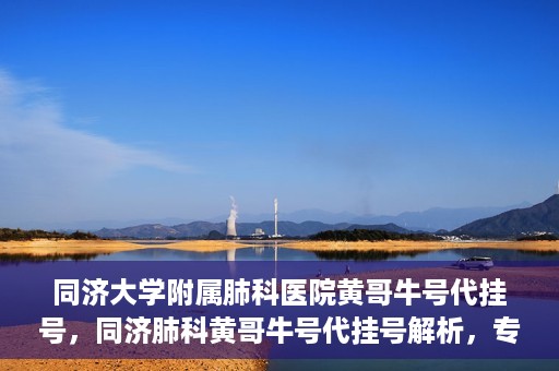 同济大学附属肺科医院黄哥牛号代挂号，同济肺科黄哥牛号代挂号解析，专业医疗服务的深度解读