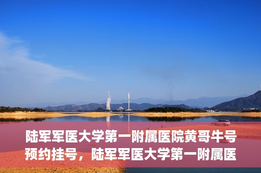 陆军军医大学第一附属医院黄哥牛号预约挂号，陆军军医大学第一附属医院黄哥牛号预约挂号指南，轻松挂号，健康无忧！