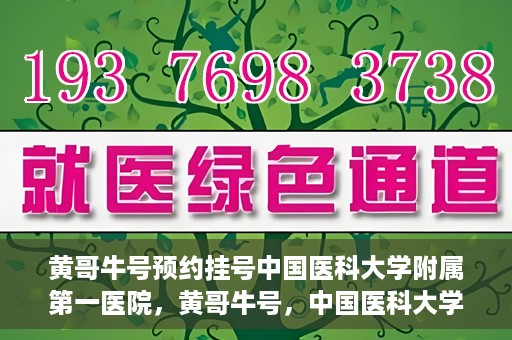 黄哥牛号预约挂号中国医科大学附属第一医院，黄哥牛号，中国医科大学附属第一医院预约挂号服务启动