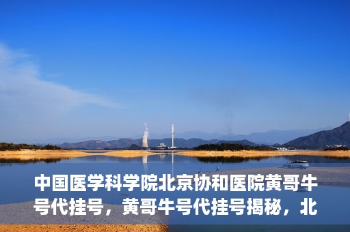 中国医学科学院北京协和医院黄哥牛号代挂号，黄哥牛号代挂号揭秘，北京协和医院挂号背后的故事