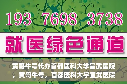 黄哥牛号代办首都医科大学宣武医院，黄哥牛号，首都医科大学宣武医院代办服务