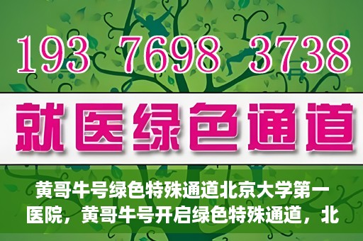 黄哥牛号绿色特殊通道北京大学第一医院，黄哥牛号开启绿色特殊通道，北京大学第一医院全力护航健康之路