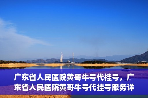 广东省人民医院黄哥牛号代挂号，广东省人民医院黄哥牛号代挂号服务详解