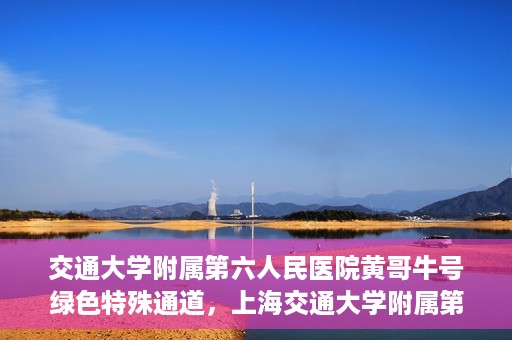 交通大学附属第六人民医院黄哥牛号绿色特殊通道，上海交通大学附属第六人民医院黄哥牛号绿色就医特殊通道开启