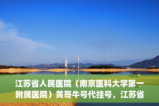 江苏省人民医院（南京医科大学第一附属医院）黄哥牛号代挂号，江苏省人民医院（南京医科大学第一附属医院）黄哥牛号助您轻松挂号就医