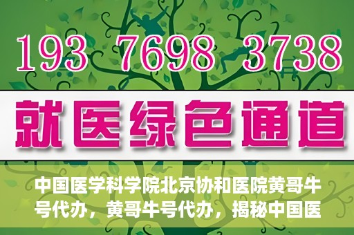 中国医学科学院北京协和医院黄哥牛号代办，黄哥牛号代办，揭秘中国医学科学院北京协和医院背后的故事