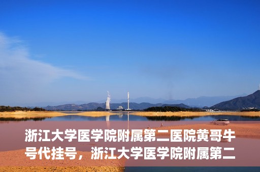浙江大学医学院附属第二医院黄哥牛号代挂号，浙江大学医学院附属第二医院黄哥牛号挂号服务解析