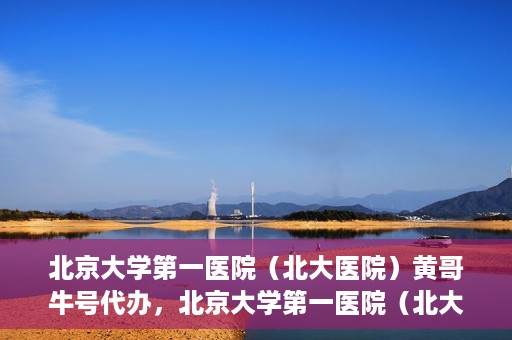 北京大学第一医院（北大医院）黄哥牛号代办，北京大学第一医院（北大医院）黄哥牛号代办，揭秘背后的故事