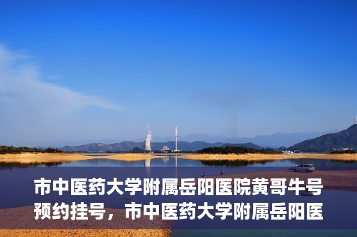 市中医药大学附属岳阳医院黄哥牛号预约挂号，市中医药大学附属岳阳医院黄哥牛号预约挂号攻略