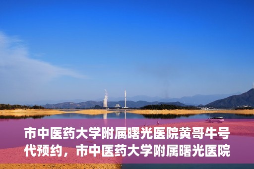 市中医药大学附属曙光医院黄哥牛号代预约，市中医药大学附属曙光医院黄哥牛号预约服务启动