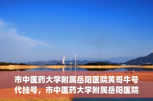 市中医药大学附属岳阳医院黄哥牛号代挂号，市中医药大学附属岳阳医院黄哥牛号代挂号服务解析