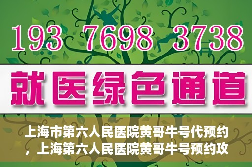 上海市第六人民医院黄哥牛号代预约，上海第六人民医院黄哥牛号预约攻略，轻松解决挂号难题