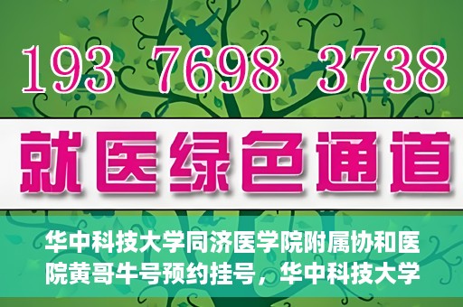 华中科技大学同济医学院附属协和医院黄哥牛号预约挂号，华中科技大学同济医学院附属协和医院黄哥牛号预约挂号攻略解析