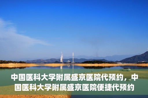 中国医科大学附属盛京医院代预约，中国医科大学附属盛京医院便捷代预约服务解析