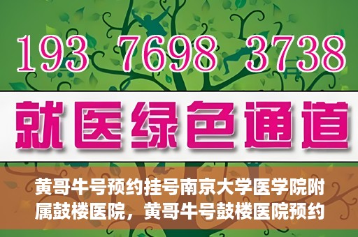黄哥牛号预约挂号南京大学医学院附属鼓楼医院，黄哥牛号鼓楼医院预约挂号启动，便捷就医新体验