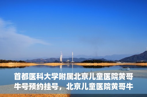 首都医科大学附属北京儿童医院黄哥牛号预约挂号，北京儿童医院黄哥牛号预约挂号攻略，轻松挂号，无忧就医体验