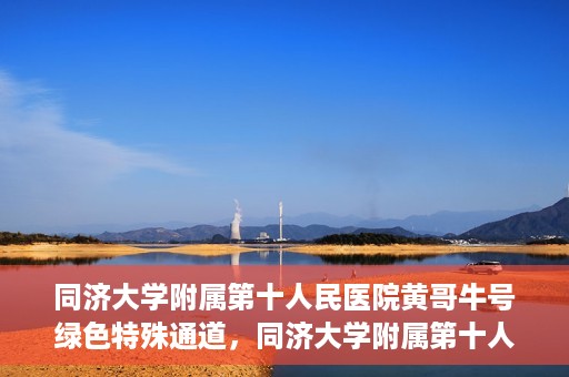 同济大学附属第十人民医院黄哥牛号绿色特殊通道，同济大学附属第十人民医院黄哥牛号，绿色特殊通道开启健康之门