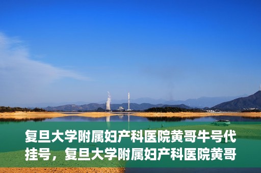 复旦大学附属妇产科医院黄哥牛号代挂号，复旦大学附属妇产科医院黄哥牛号代挂号攻略解析