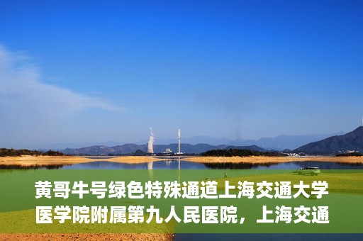 黄哥牛号绿色特殊通道上海交通大学医学院附属第九人民医院，上海交通大学医学院附属第九人民医院开通绿色特殊通道——黄哥牛号服务新篇章