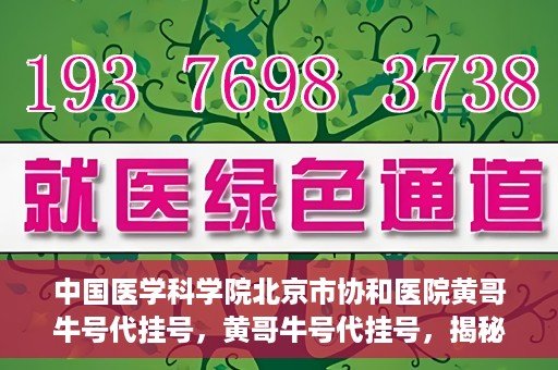 中国医学科学院北京市协和医院黄哥牛号代挂号，黄哥牛号代挂号，揭秘中国医学科学院北京市协和医院挂号背后的故事